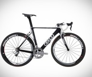 CEEPO STINGER